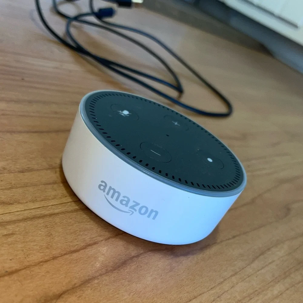 Alexa - Picture 2 of 4